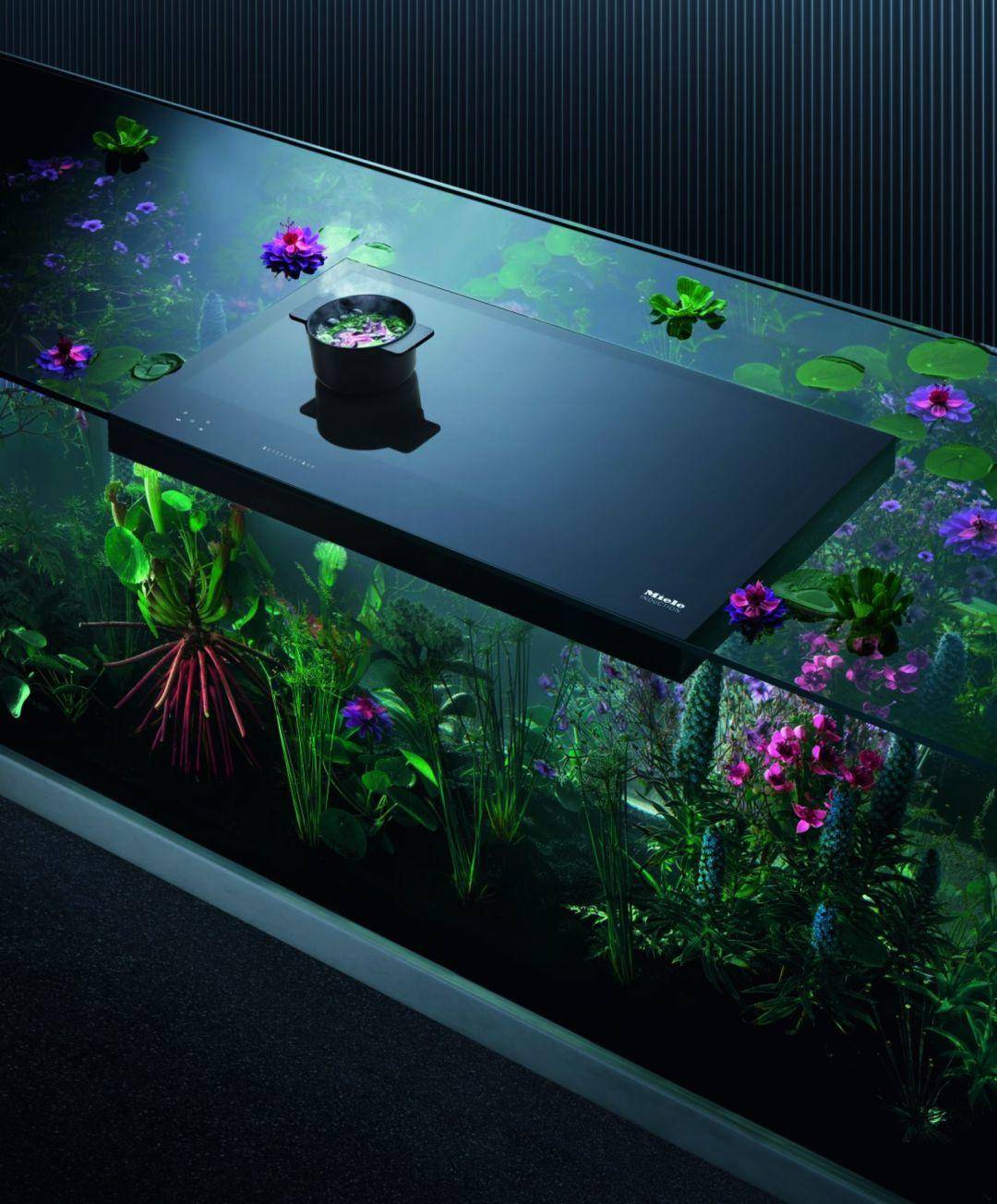 奥斯卡设计大奖作品,设计界奥斯卡if设计奖