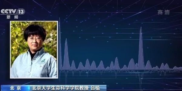 蛇胆进补,生吃蛇胆身体长虫子