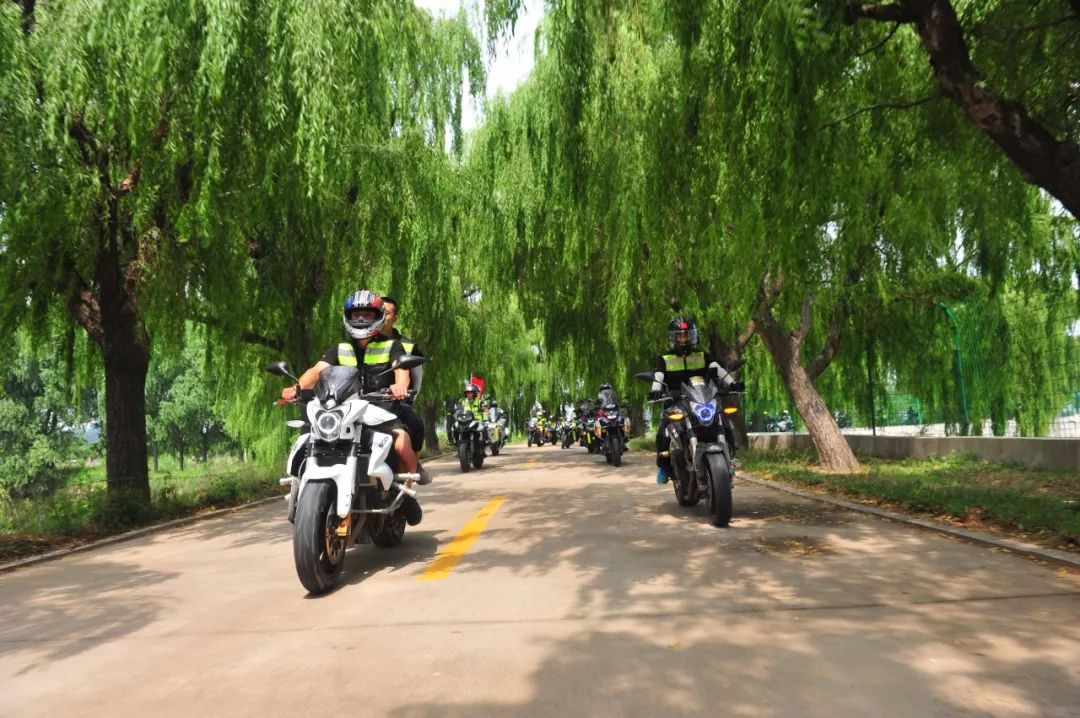 摩托英豪动画,摩托英豪电脑版