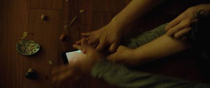 引进可以，跪求少删减…