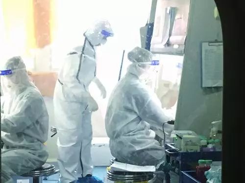 大疫之中的中科院武汉病毒所