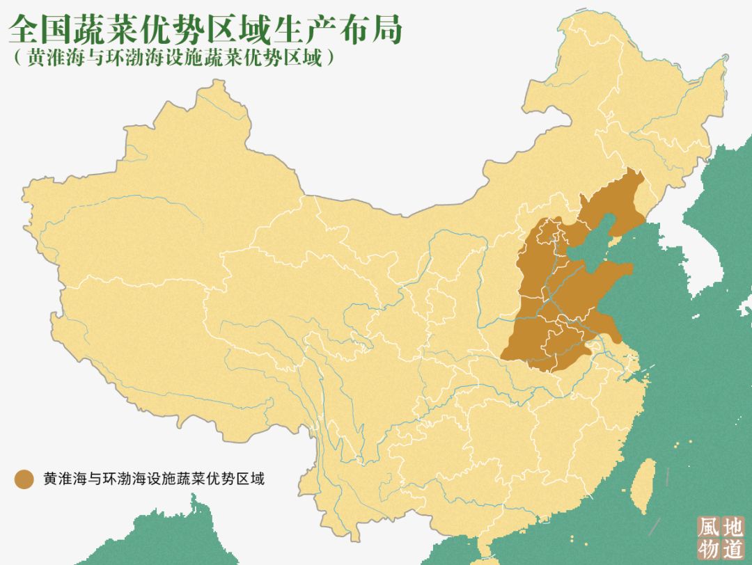 一送最少几十吨,支援湖北的背后是世界第一硬核蔬菜大国……