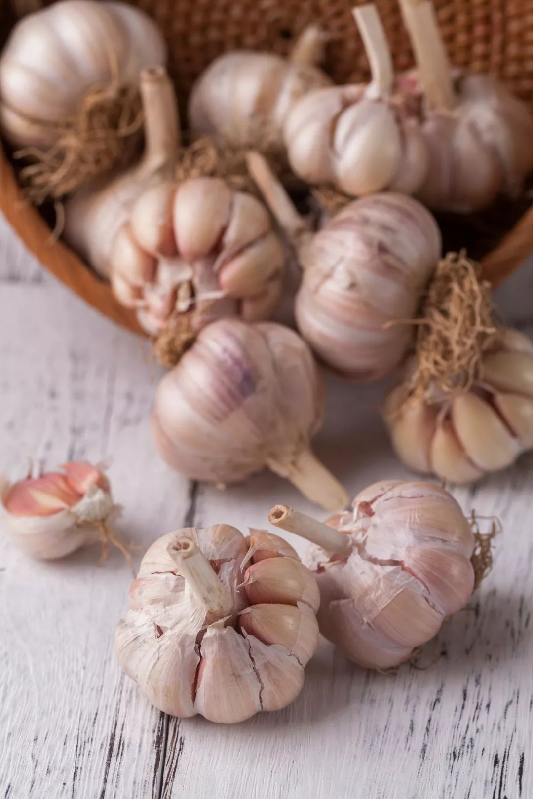 按吨起步支援湖北的蔬菜，背后是世界第一硬核蔬菜大国