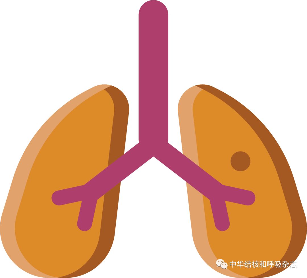 新型冠状病毒肺炎危重治疗原则,专题解读新型冠状病毒肺炎
