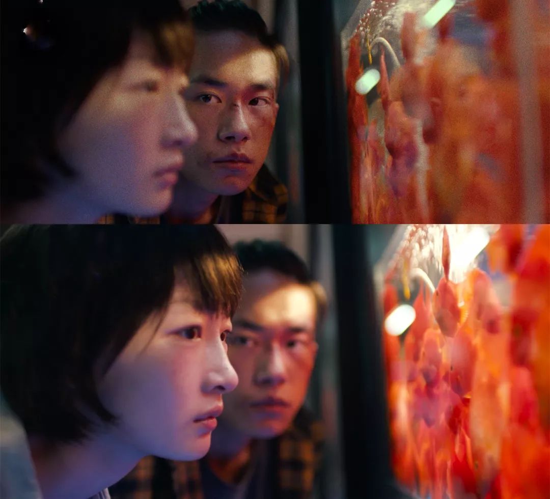 不能出去嗨的情人节,不能出门情人节怎么过