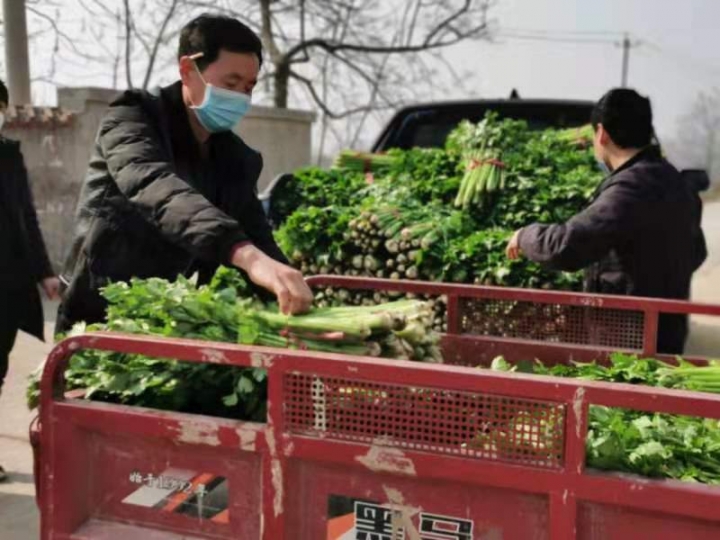 山村党员代购员有哪些,原农村的代购代销员