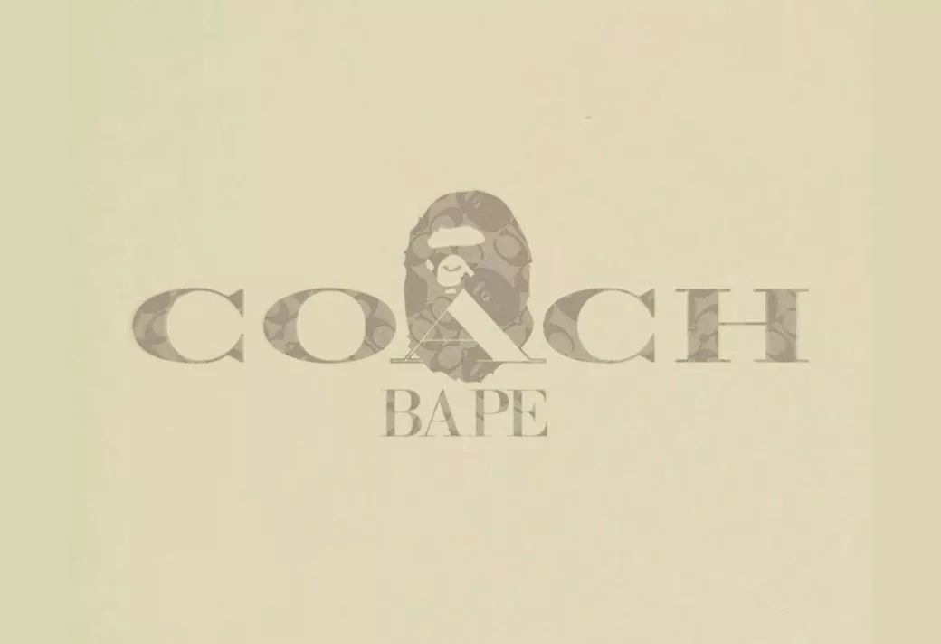 coachxbape联名皮衣,coachxbape联名