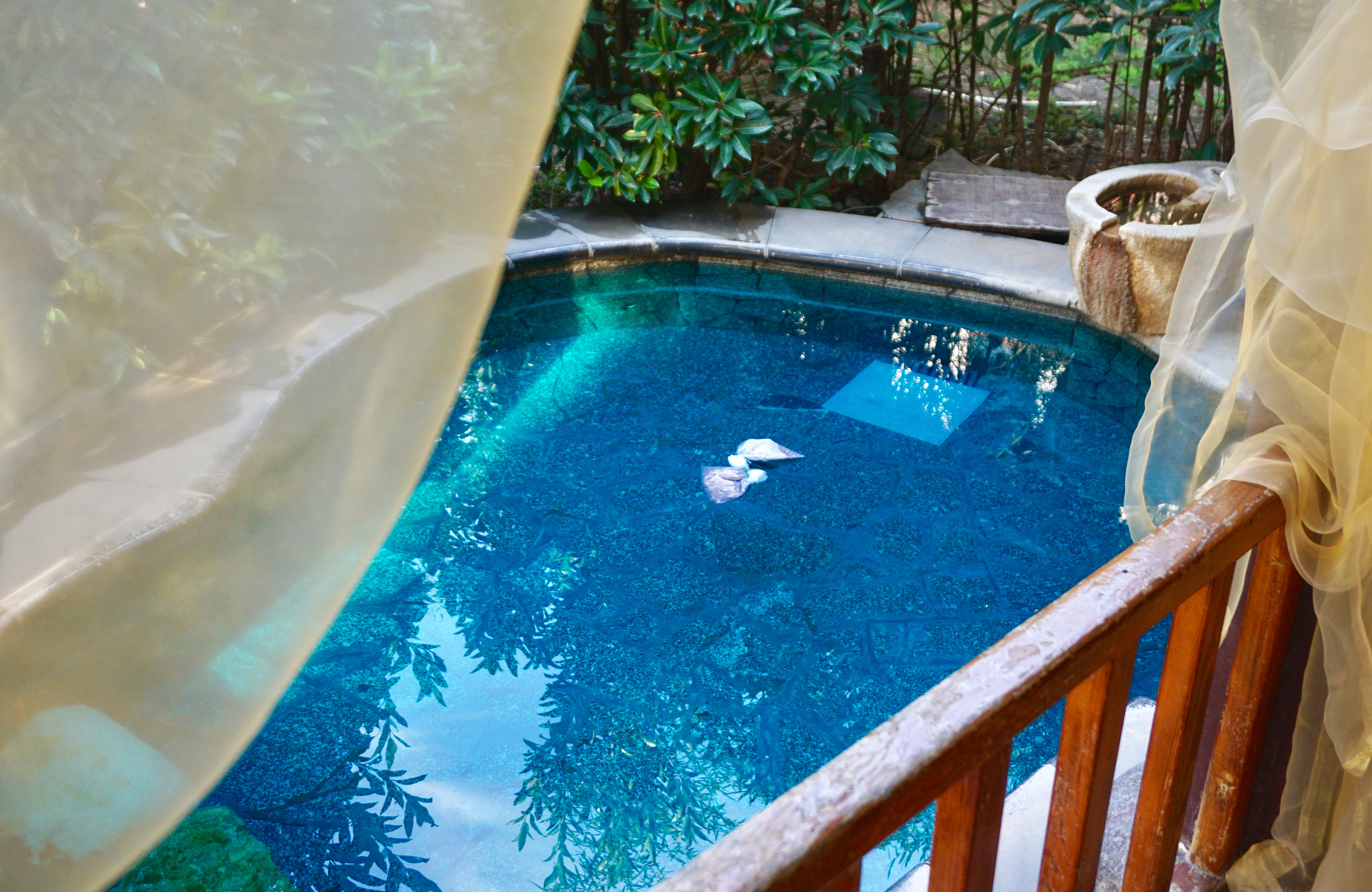 疫情过后一定要去西双版纳,疫情过后一定要来苏州喝奶茶