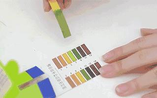 德国老太太用什么洗发水,93岁德国老太太