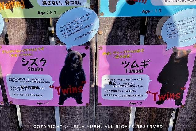 现在去日本买口罩,去日本买口罩日购