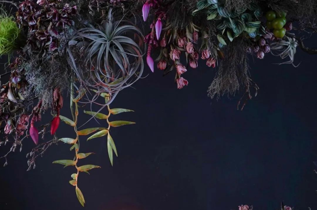 伦敦花店排名,伦敦花店哪个最好