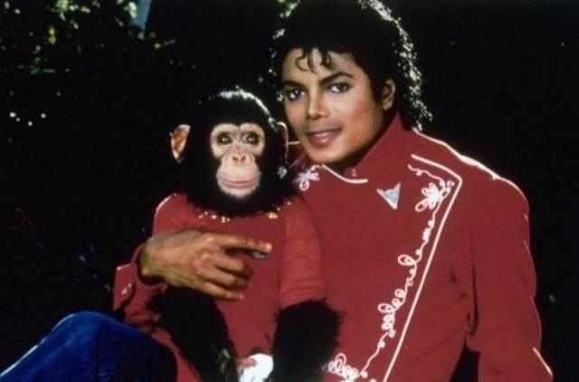 杰克逊的猩猩后来怎么样了,迈克尔杰克逊的大猩猩现状