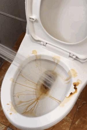 冬天卫生间太臭教你一个笨方法,冬季卫生间异味怎么消除