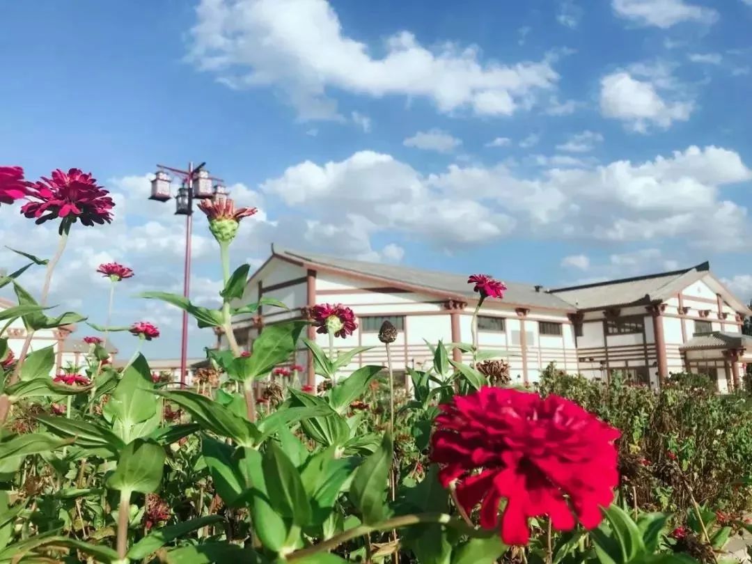 高密好玩,高密旅游怎么样