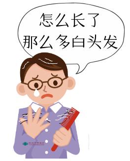 食疗治白发,食疗白发