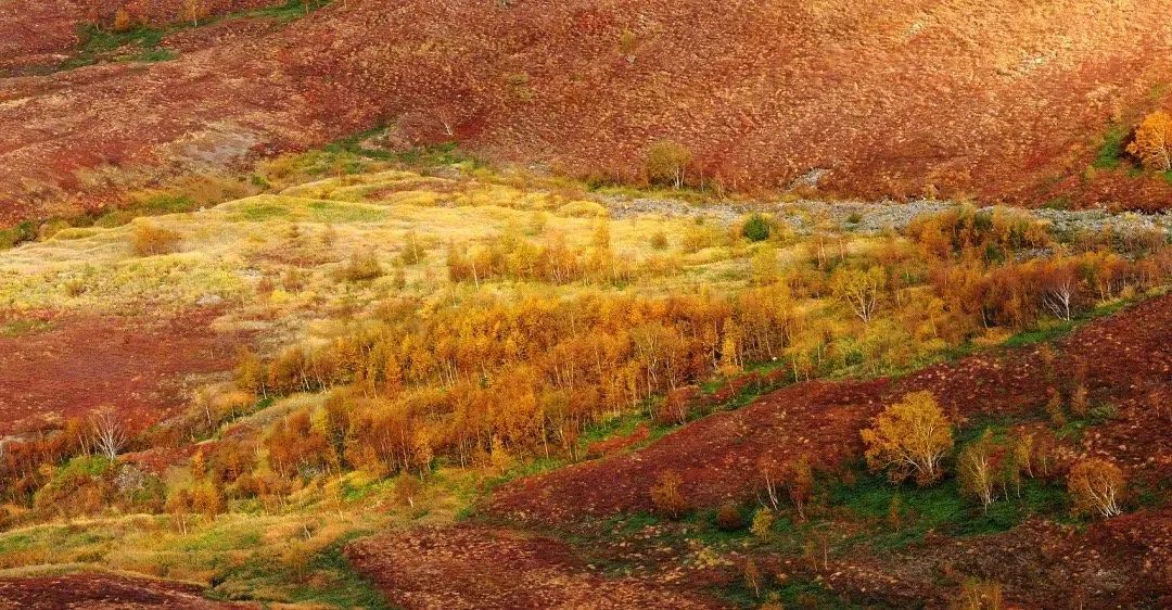地质天文,地质地球物理学
