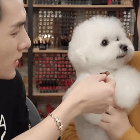 小助理改名，“琦有此理”解散实锤？