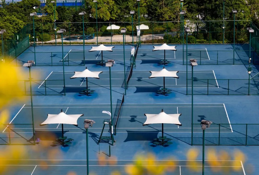 从蒙特卡洛到珠海横琴：风景如画的球场呈现不同的美丽