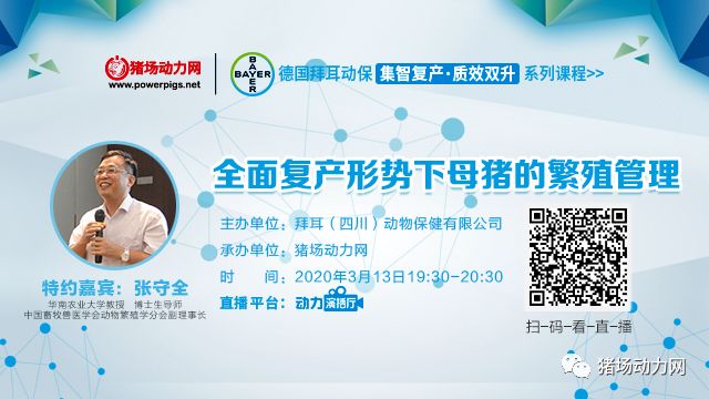 一元母猪与二元母猪的饲养管理,二元母猪怎么养可以多生崽