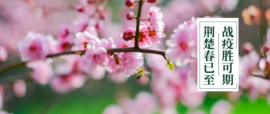 科目二考试取消了退费吗,考试取消预约考试费能退吗