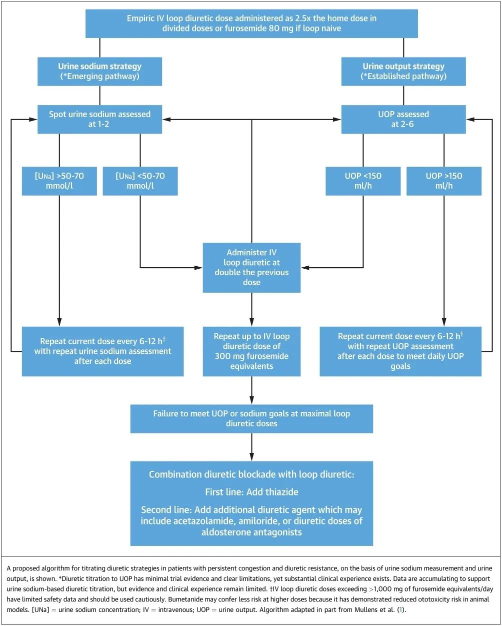 心力衰竭利尿剂的治疗,jacc谈心衰