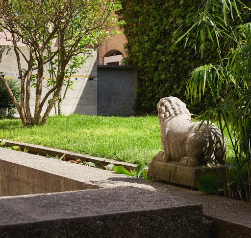 一年一度的植树,现在正在植树的视频