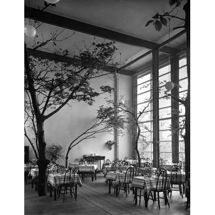 一年一度的植树,现在正在植树的视频