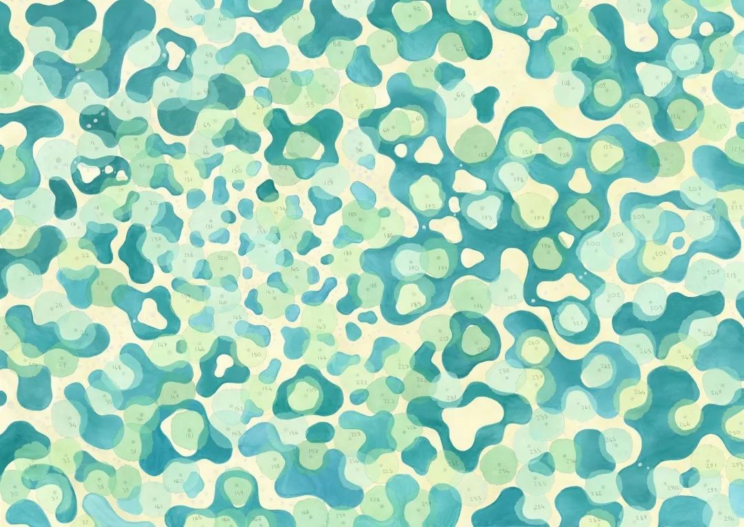 一起来植树的视频,今天适合植树吗