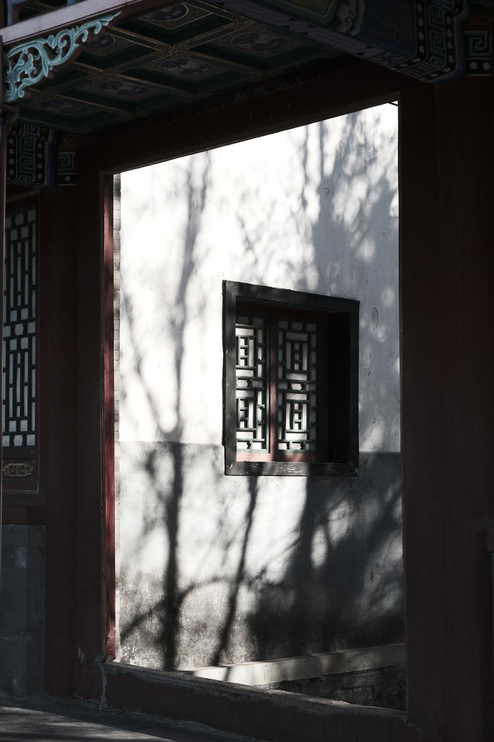 富士x-t4视频表现,富士x-t42020款