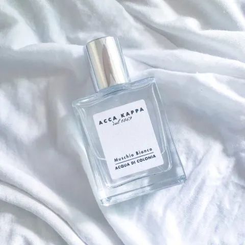 寻香|五彩斑斓的黑算什么,来见识一下五光十色的白