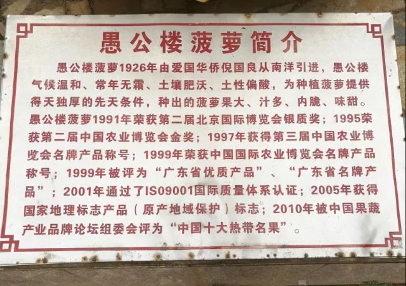 战疫助农在行动努力卖枇杷,战疫助农安徽省贫困县优质农产品