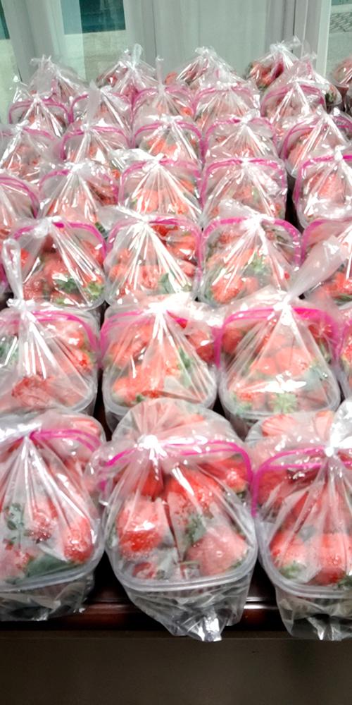 又是一年春来早家乡景色,又是一年春来早万物逢春在今朝