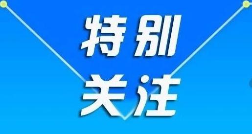 黄冈聚焦:不胜不休七里坪