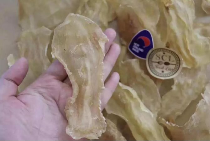 不整容不医美人真的会变吗,不整容不化妆变成美女