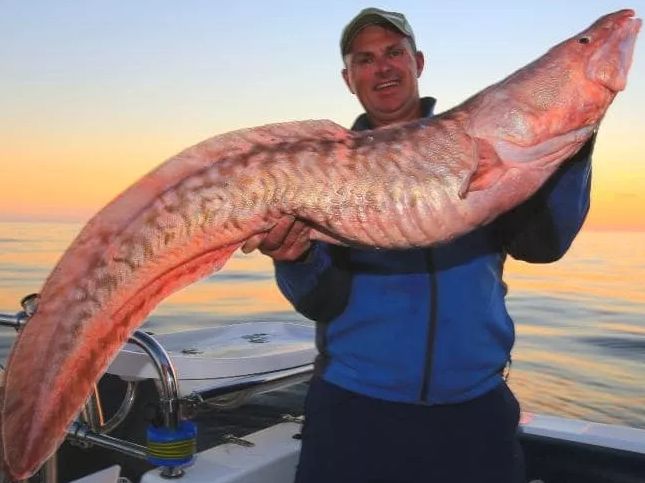 不整容不医美人真的会变吗,不整容不化妆变成美女