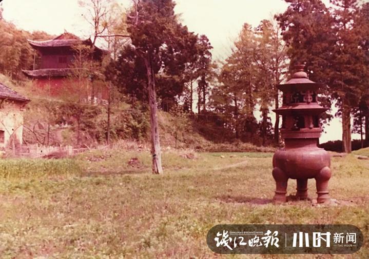 问茶③｜失而复得的径山茶，耄耋老人用毕生书写与径山的一世茶缘