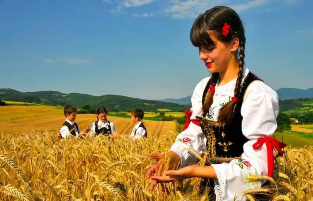 塞尔维亚真是一个神奇的国度,塞尔维亚是因为什么被中国熟知