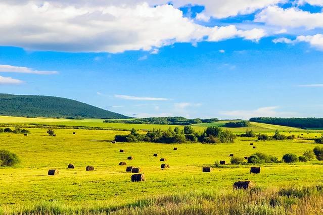 欢迎你来呼伦贝尔大草原,为你而来新疆歌曲拼音
