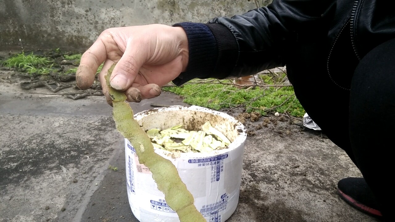 自制养蚯蚓神器,自制鱼饵神器大全