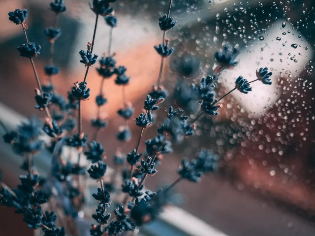 更年期的症状是绝经后还是月经前,围绝经期的10个征兆