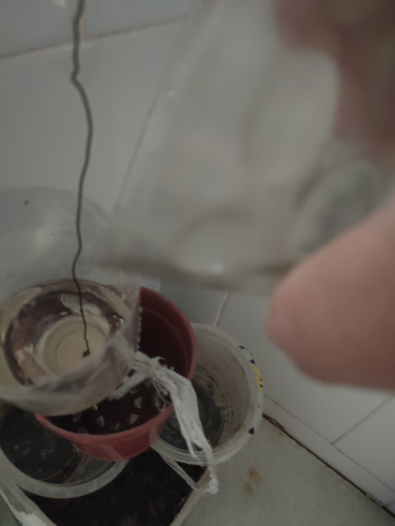 自制蚯蚓专用工具,自制红虫养殖器