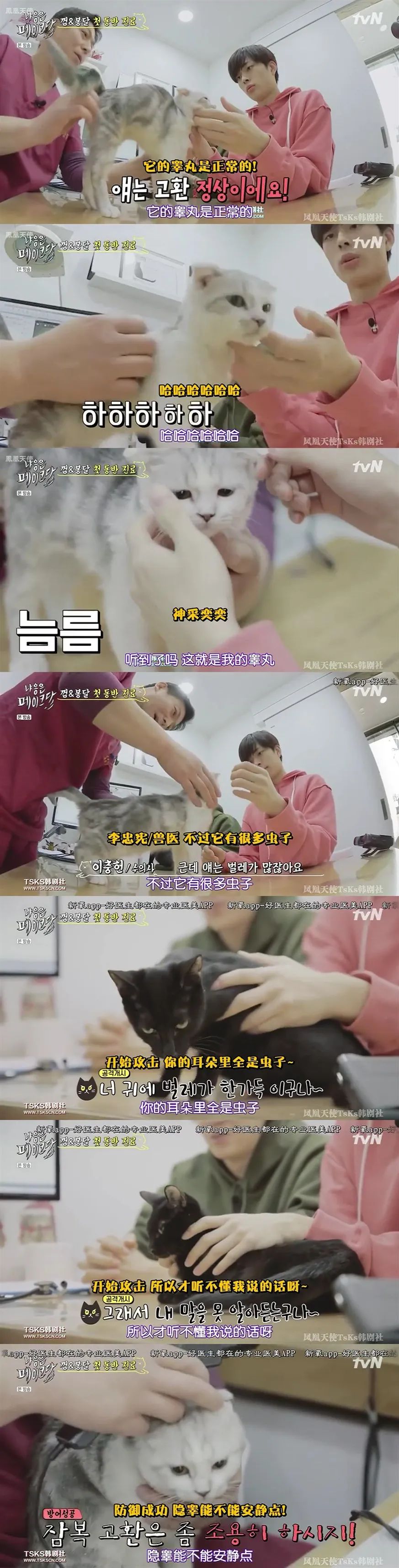 你喜欢的是他的容颜还是灵魂,你是爱她的皮囊还是灵魂