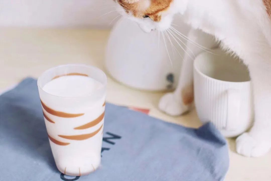 每一件都想拥有！美食博主原来是这样买餐具的