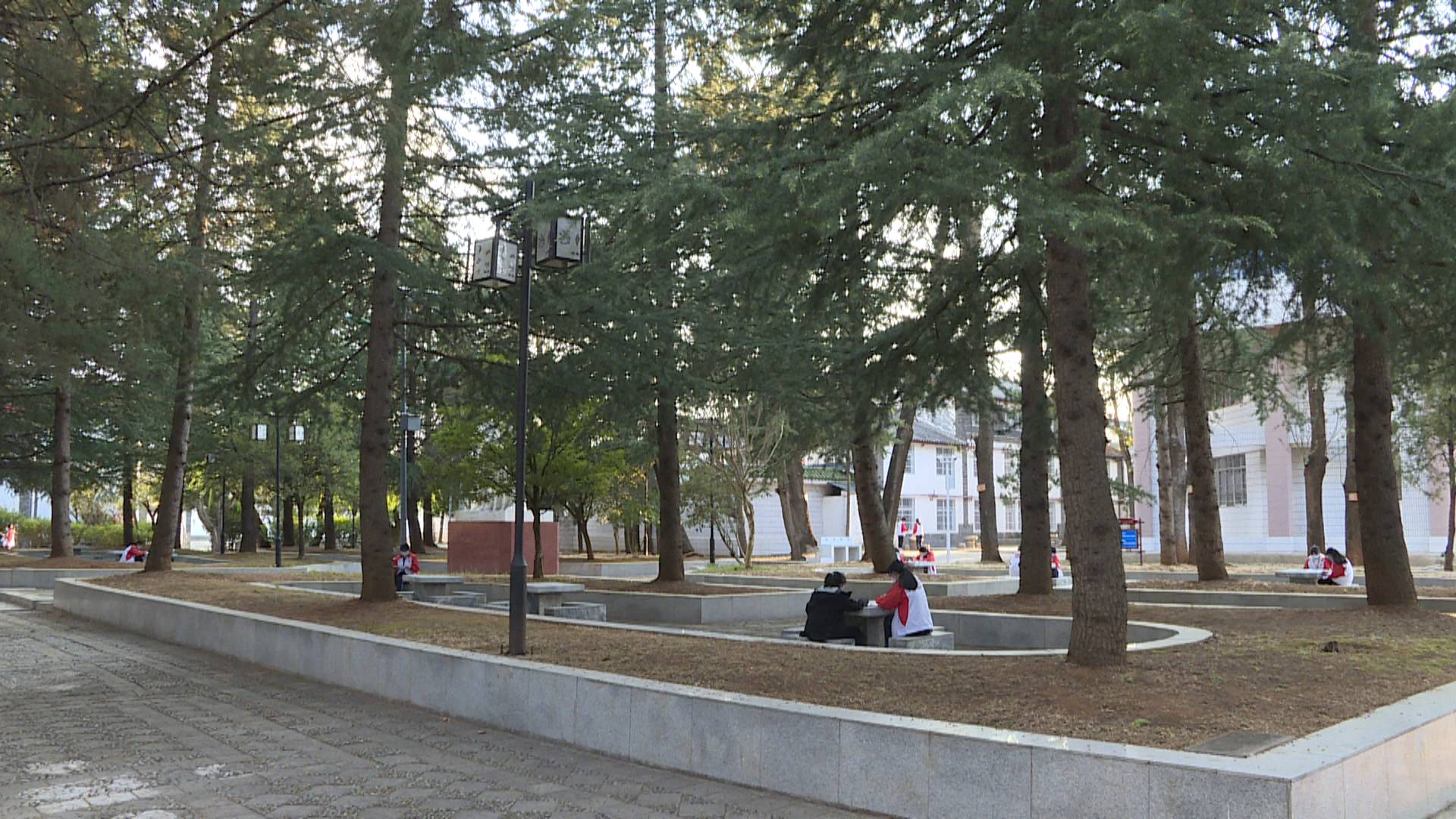 丽江高三补习电话,丽江热线直播全屏