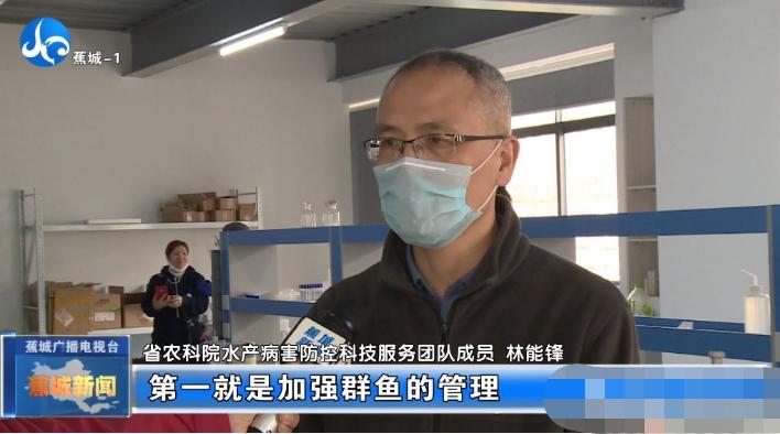 春季大黄鱼病害问题如何防治？别急，省农科院专家为您支招