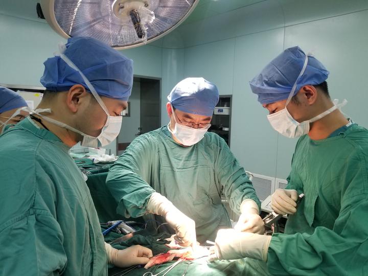 阑尾炎腹痛采取的护理措施,阑尾炎保守治疗但还肚子疼怎么办