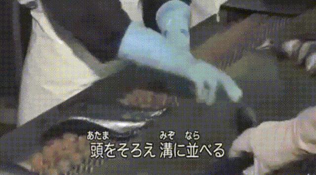 为啥大家都抢罐头,为什么大家都抢罐头