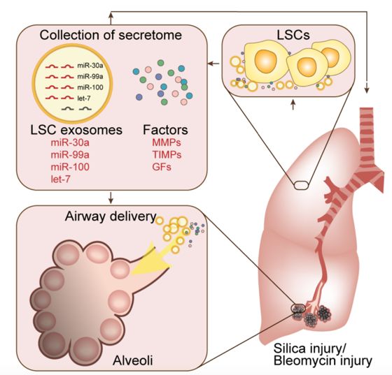 条条大路通罗马是怎么来的,条条大路通罗马示意图