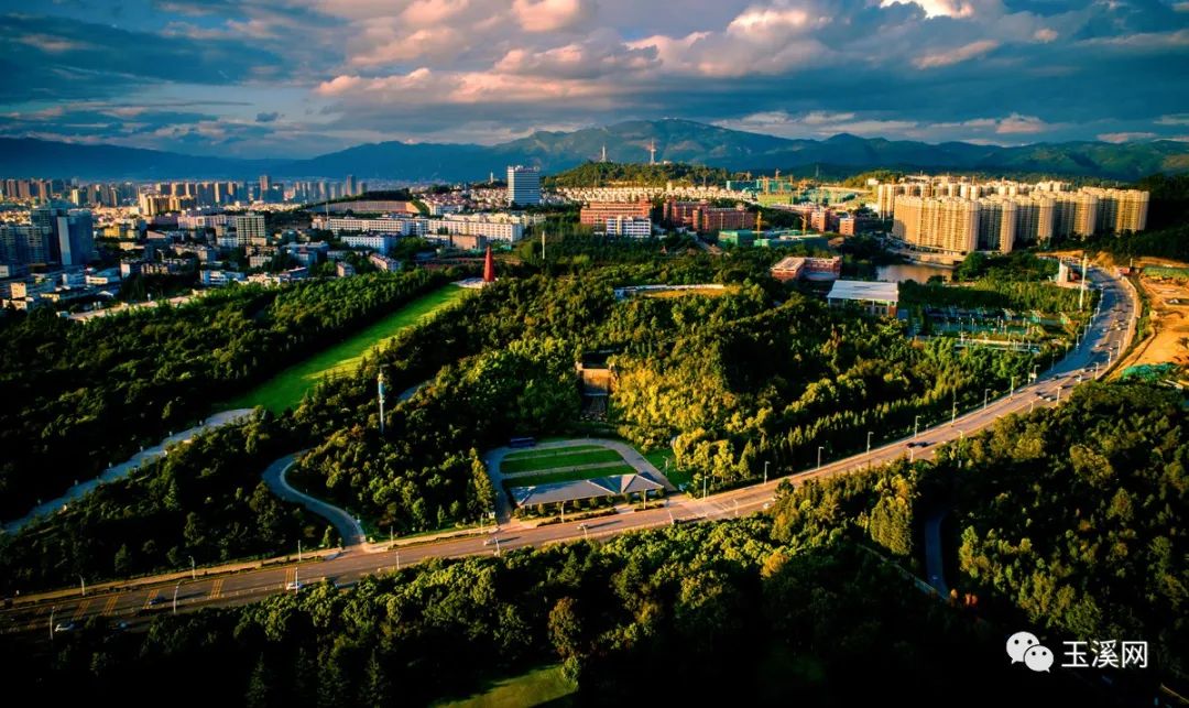 诗情画意文峰路,诗情画意岩茶