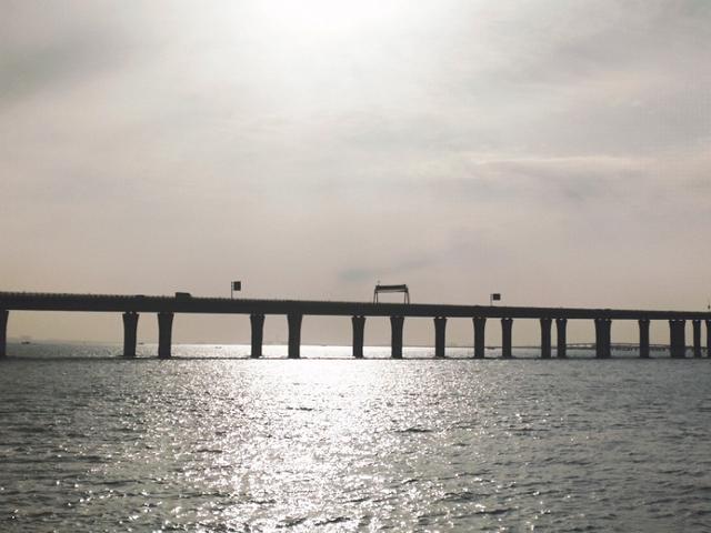 青岛海泊桥海鲜市场梭子蟹,青岛团岛海鲜市场螃蟹价格